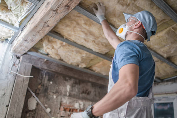 Best Insulation for Specific Applications in Plantation, FL